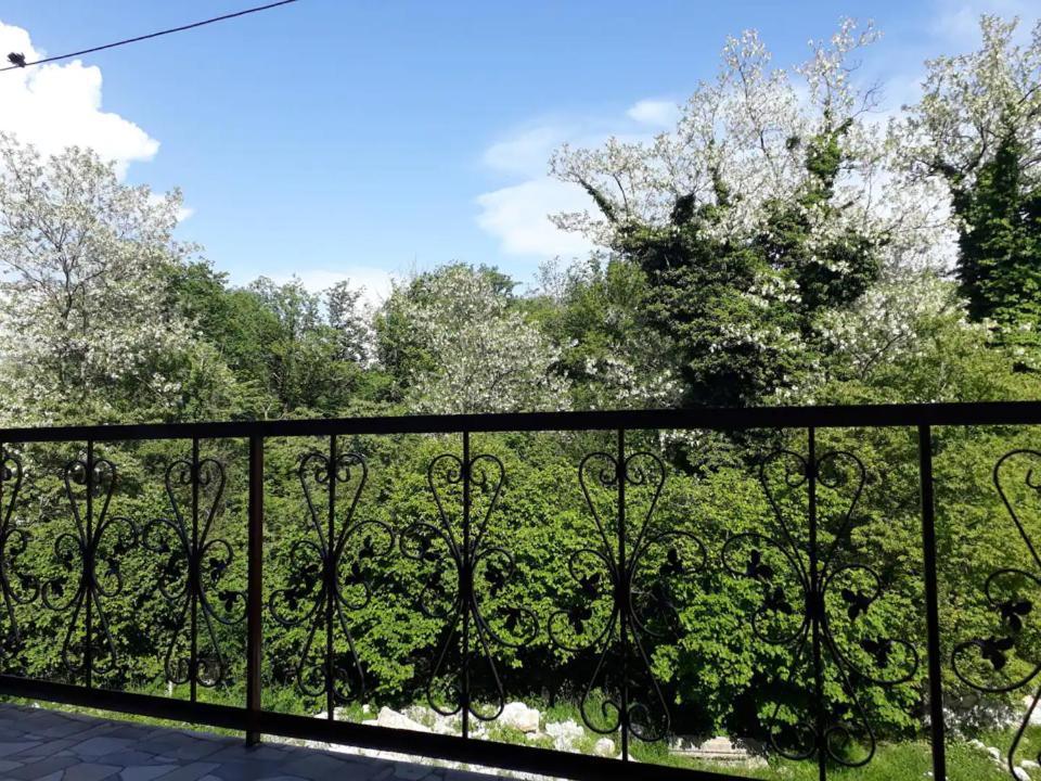 House At The Forest / Სახლი Ტყის Პირას Gordi 외부 사진